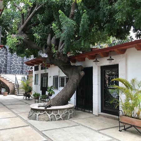 Villa Familiar El Ciruelo 库埃纳瓦卡 外观 照片