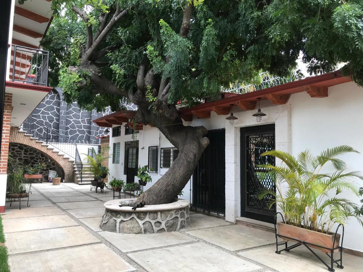 Villa Familiar El Ciruelo 库埃纳瓦卡 外观 照片